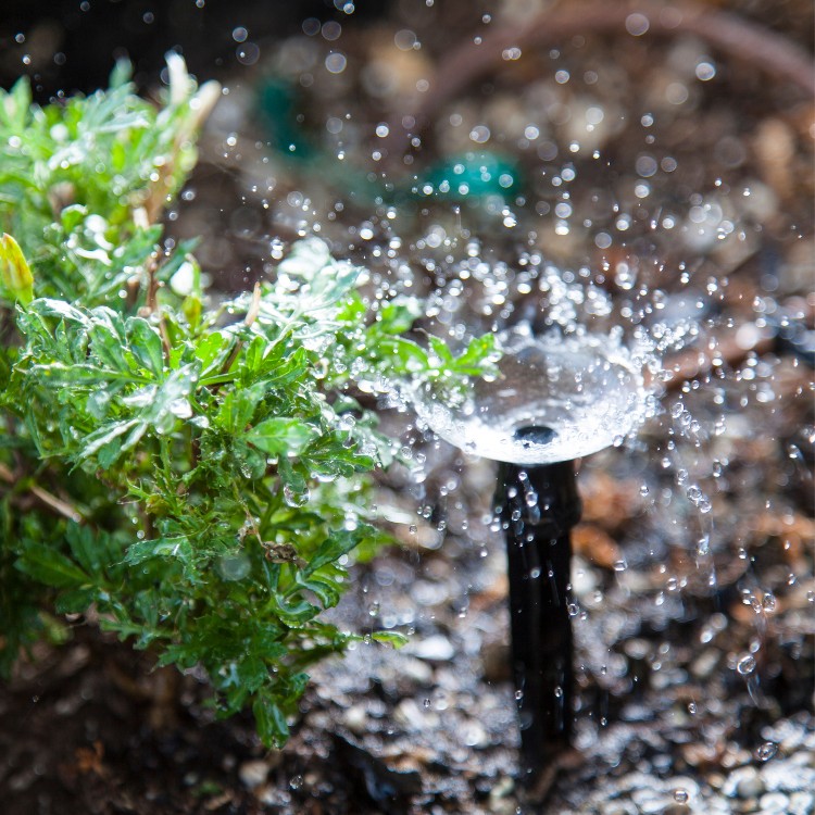 Landscaping and Pool Services in Brevard County, FL