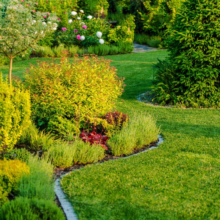 Landscaping and Pool Services in Brevard County, FL Landscaping and Pool Services in Brevard County, FL