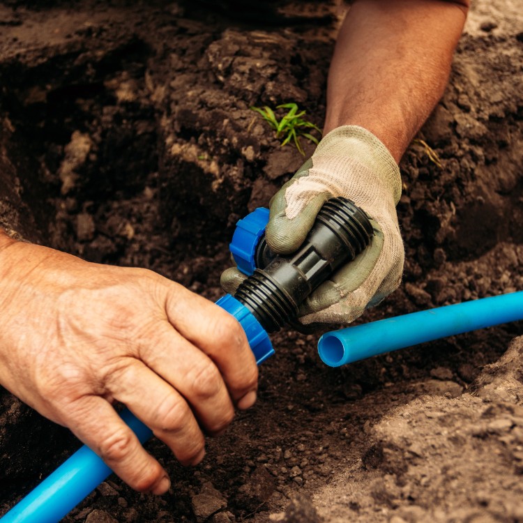 Landscaping and Pool Services in Brevard County, FL