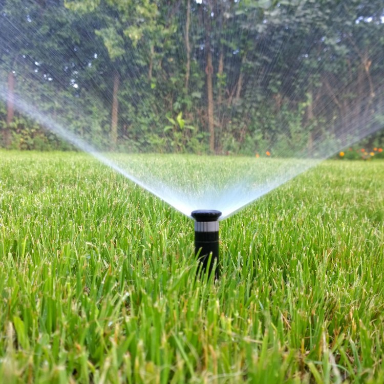 Landscaping and Pool Services in Brevard County, FL