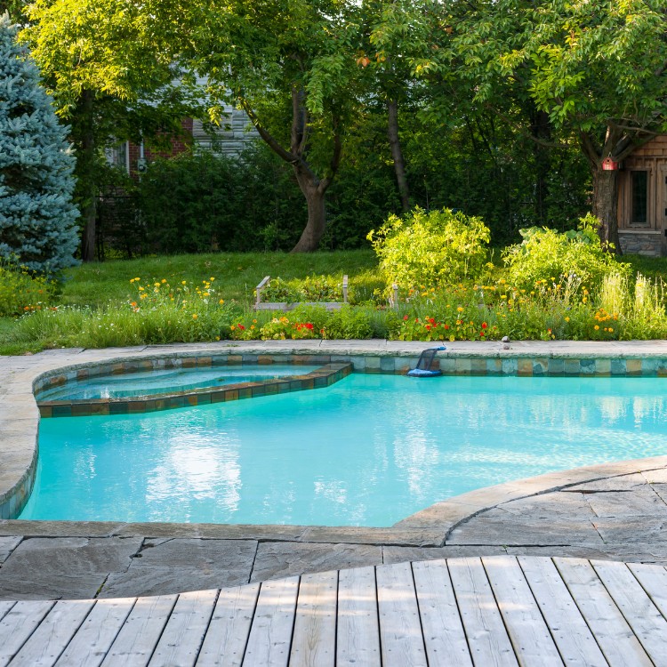 Landscaping and Pool Services in Brevard County, FL Landscaping and Pool Services in Brevard County, FL