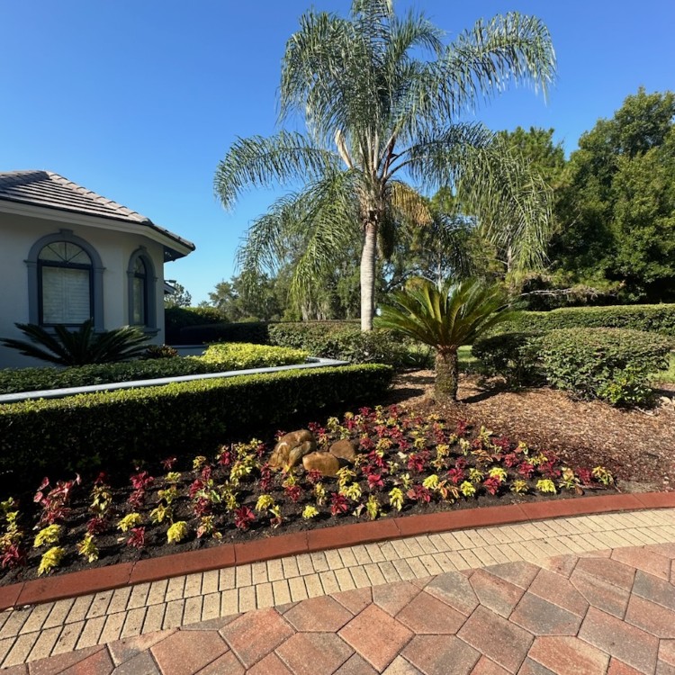 Landscaping and Pool Services in Brevard County, FL