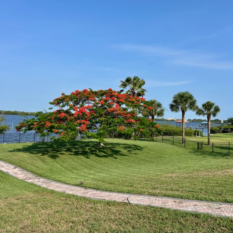 Landscaping and Pool Services in Brevard County, FL