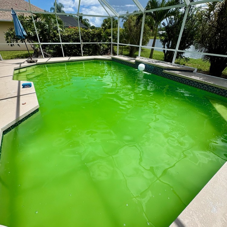 Landscaping and Pool Services in Brevard County, FL