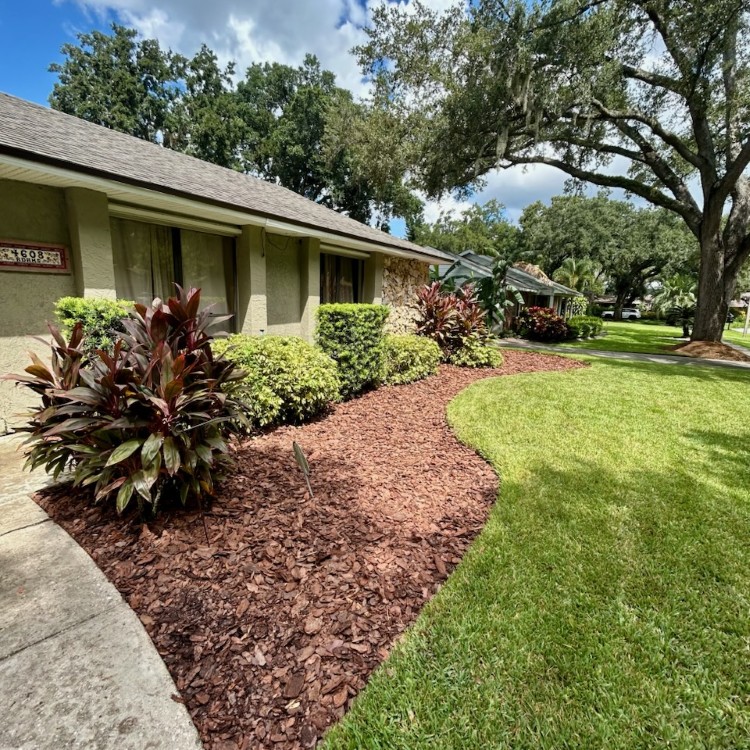 Landscaping and Pool Services in Brevard County, FL